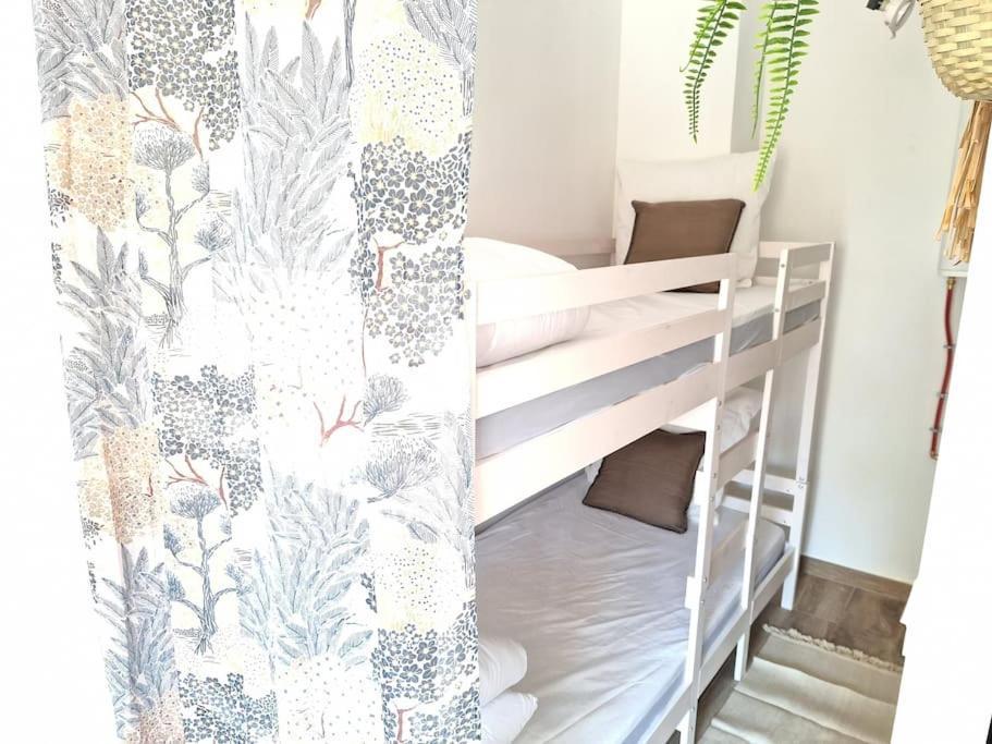 Studio Renove Avec Terrasse 40 M 2 Palavas-les-Flots Exteriér fotografie